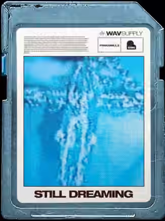 WavSupply PinkGrillz88 Still Dreaming (Loop Kit) [WAV]