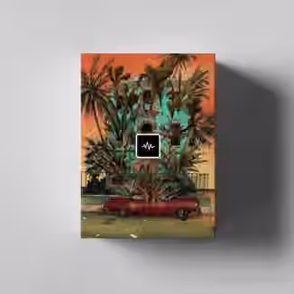 WavSupply Repko Dragonfruit Drum Kit [WAV]