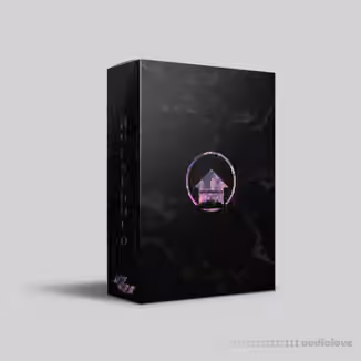 Wavvy Household 100 Loop Kit [WAV]